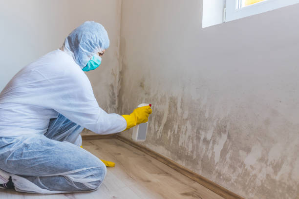 Commercial Mold Remediation assessment for commercial property in Keedysville